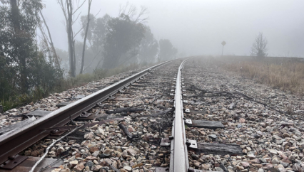 Web carousel Tracks and fog